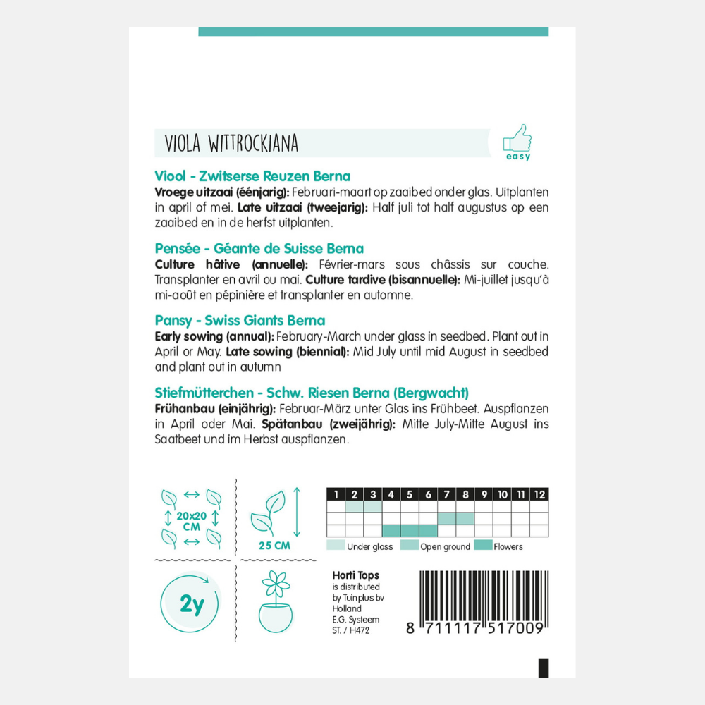 Violette 'Swiss Giant Berna'