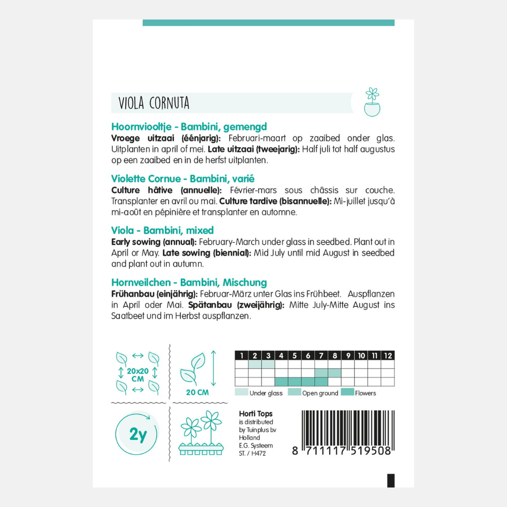 Violette 'Viola Cornuta Bambini' - en mélange