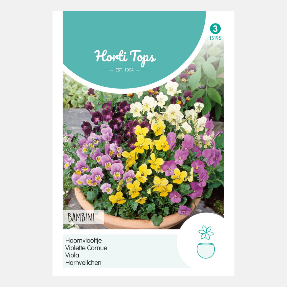 Violette 'Viola Cornuta Bambini' - en mélange