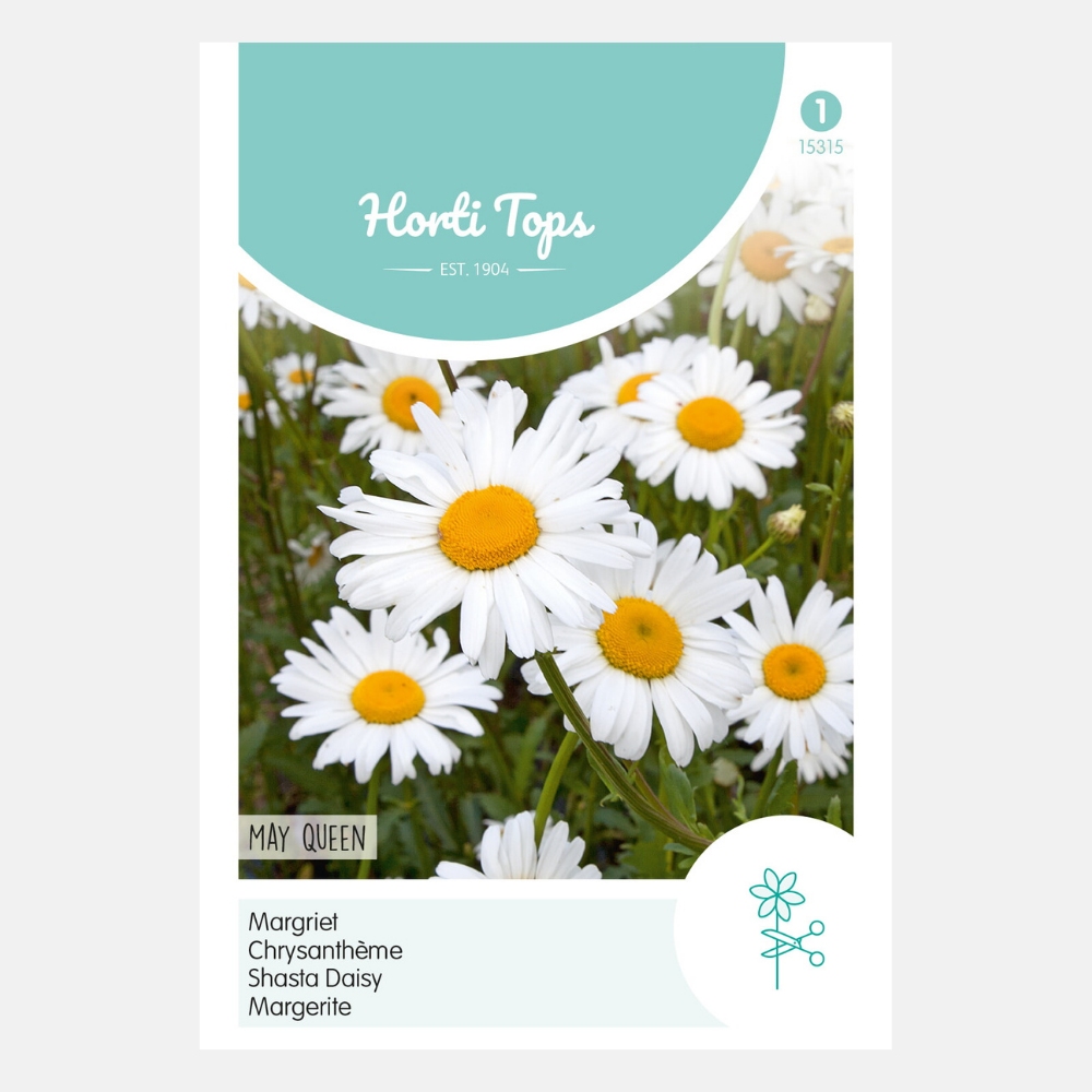 Margriet « Reine de Mai »