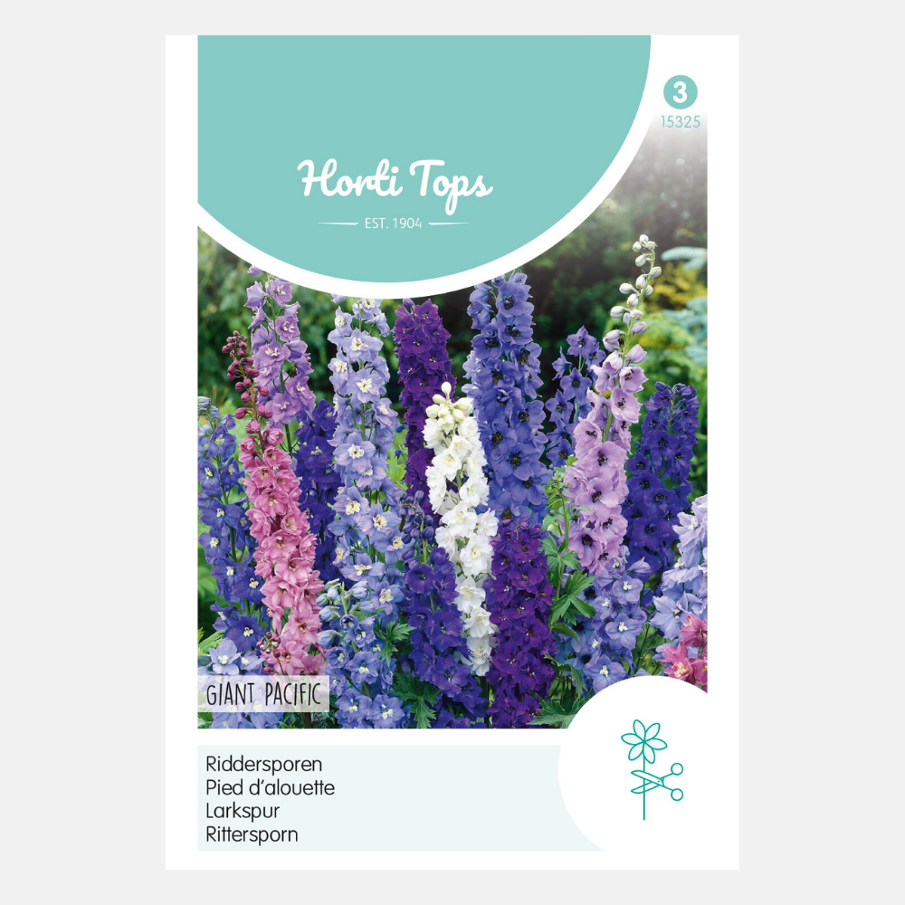 Delphinium 'Giant Pacific'