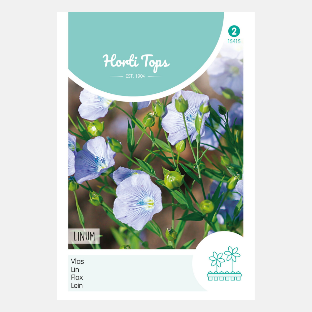 Flax blue - perennial