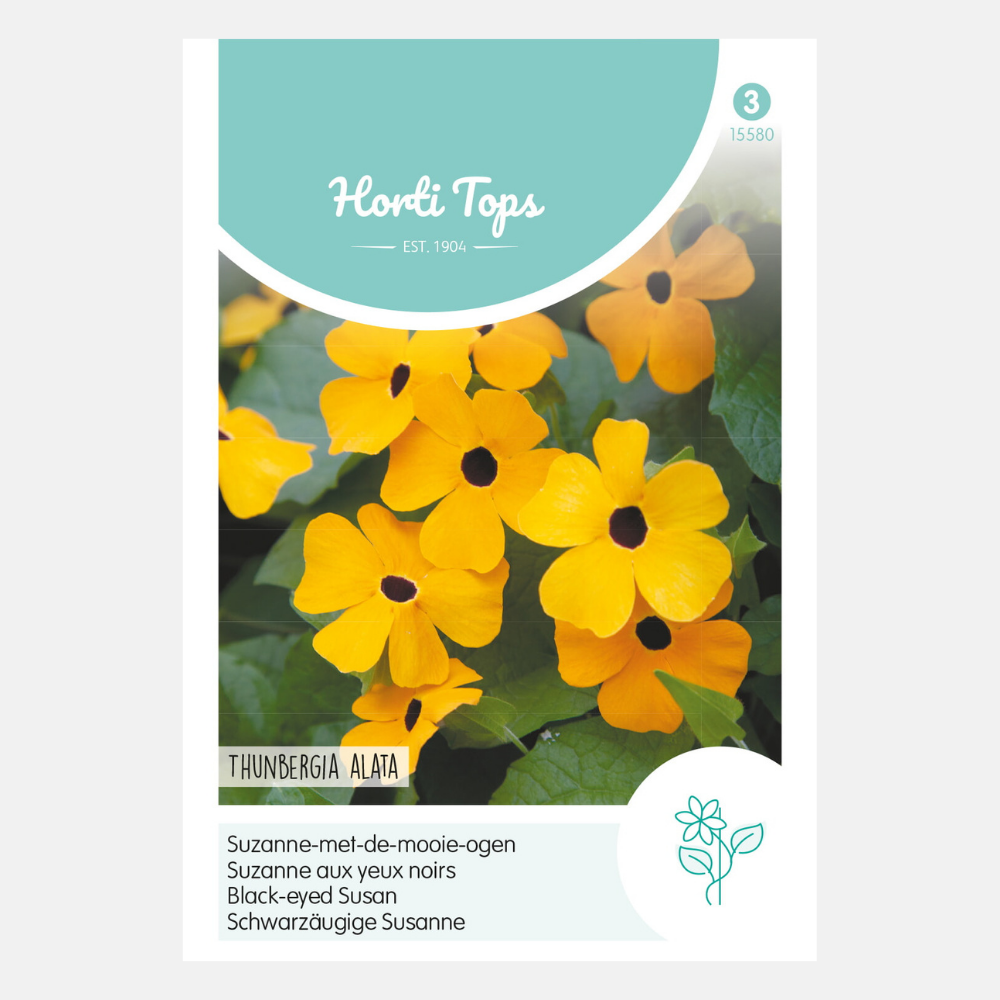 Thunbergia/Suzanne-with-the-beautiful-eyes