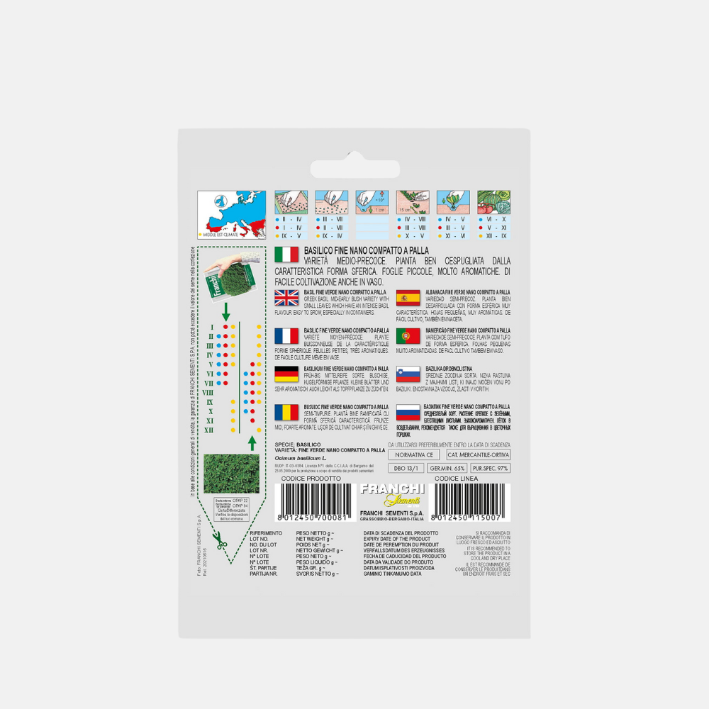 Basilic 'Basilico Fino Nano-Palla'