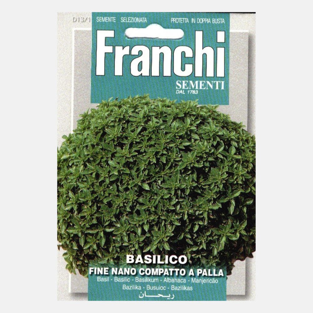 Basilic 'Basilico Fino Nano-Palla'