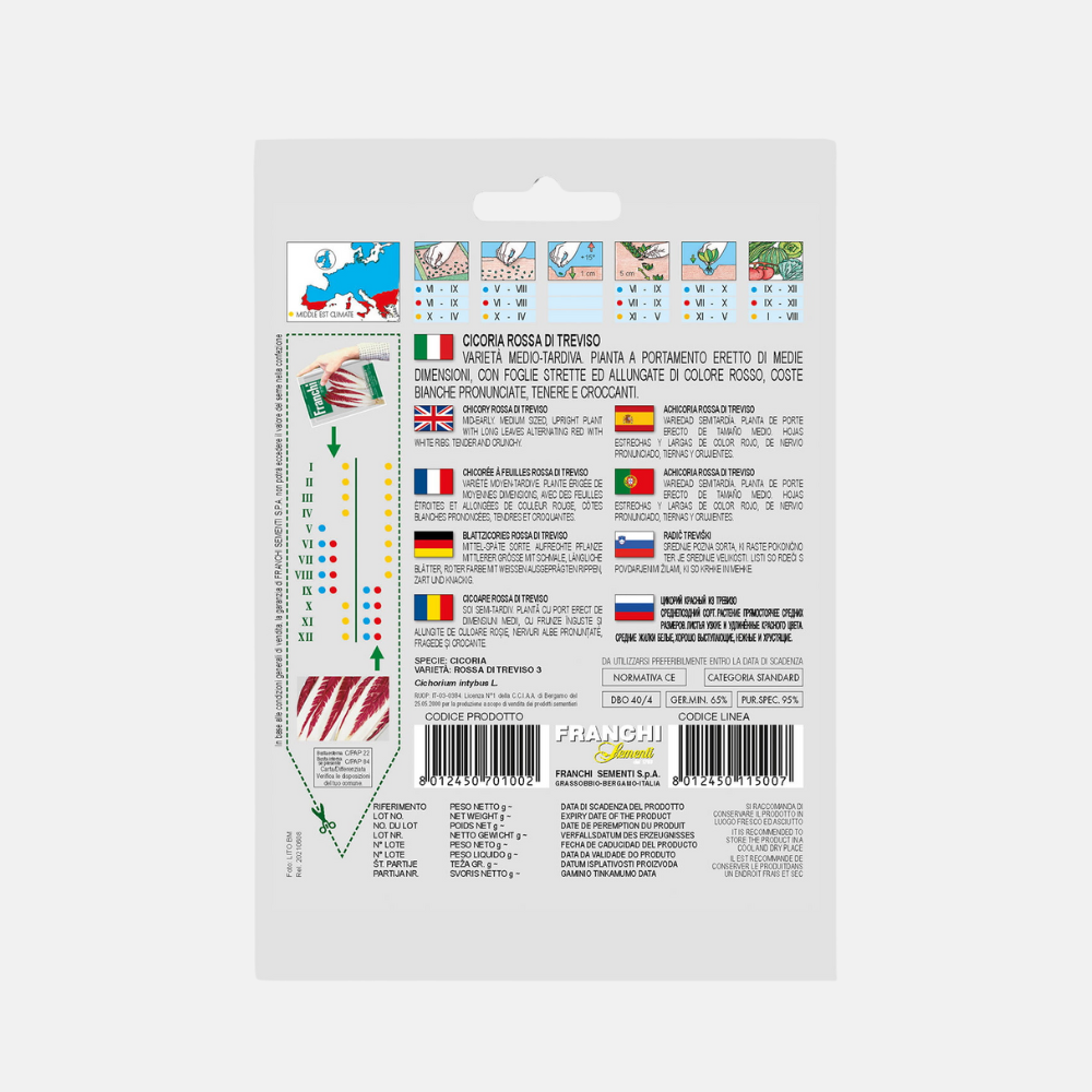 Chicory 'Cicoria Rossa Di Treviso'