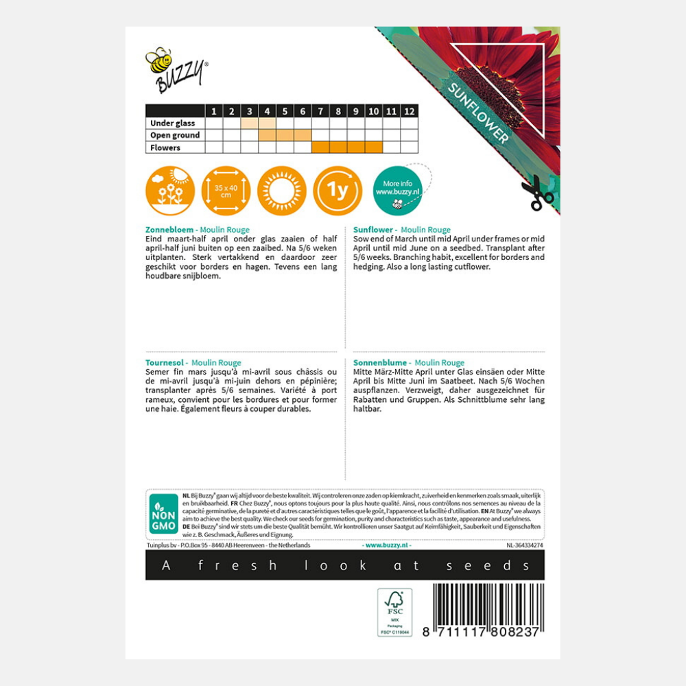 Sunflower 'Moulin Rouge'