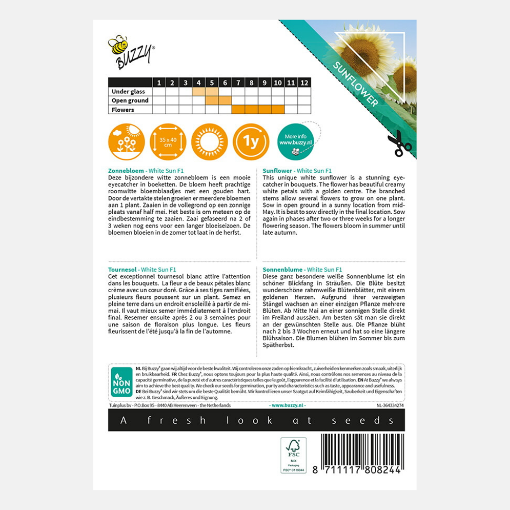 Sunflower 'White Sun' F1