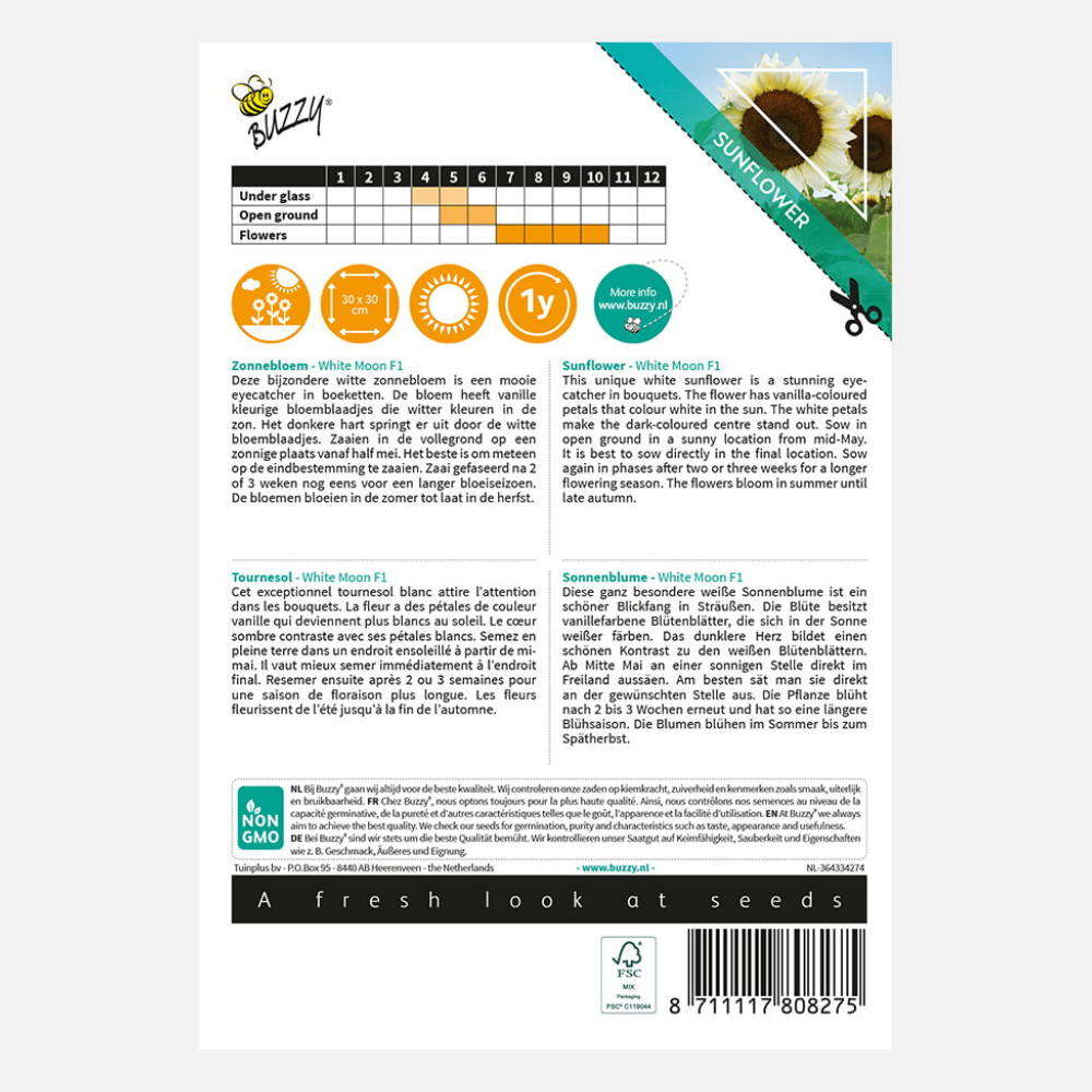Sunflower 'White Moon' F1