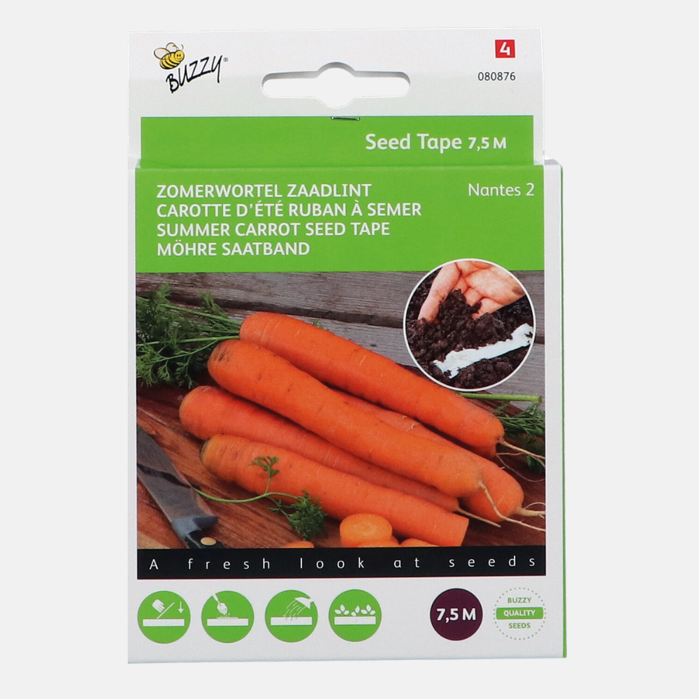 Ruban de semences Carottes 'Nantes'