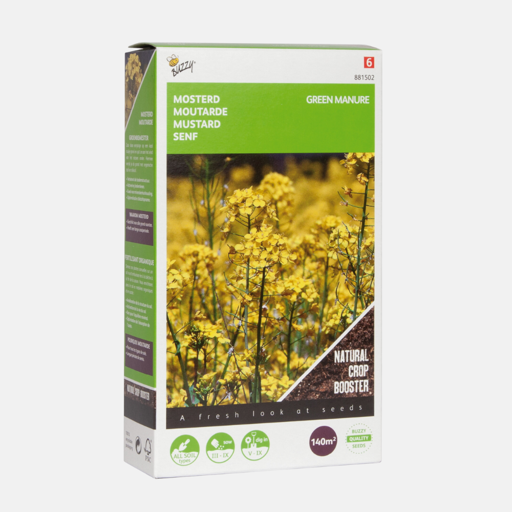 Yellow Mustard - green manure