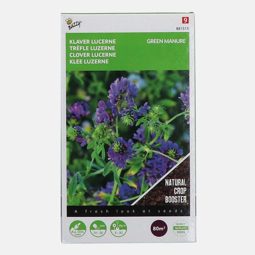 Lucerne - Green manure