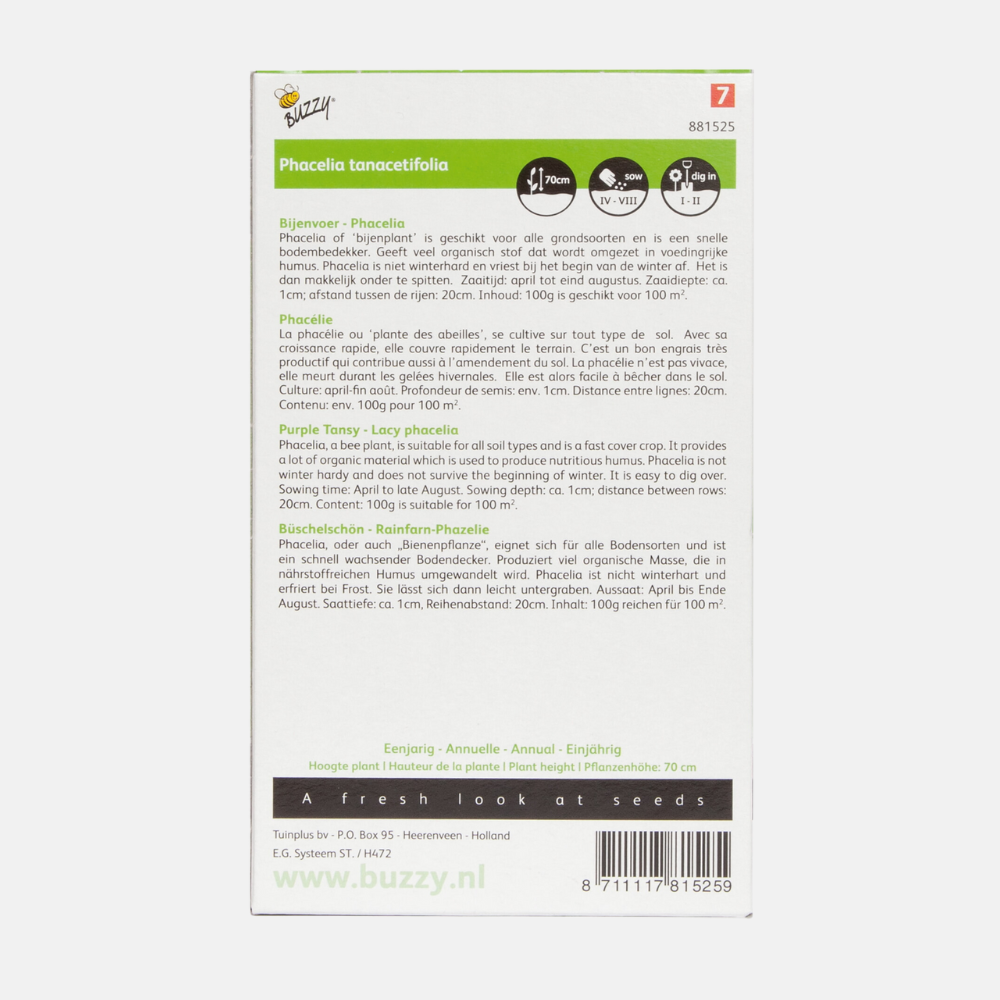 Phacelia - Groenbemester