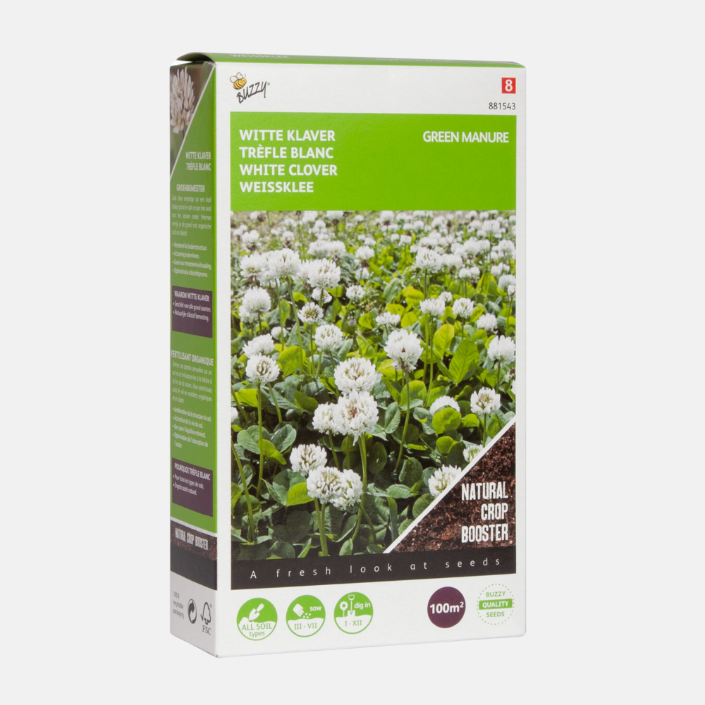 Trèfle blanc – Engrais vert
