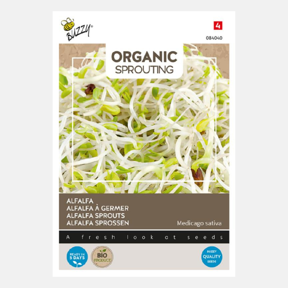 Pousses de Luzerne (BIO)