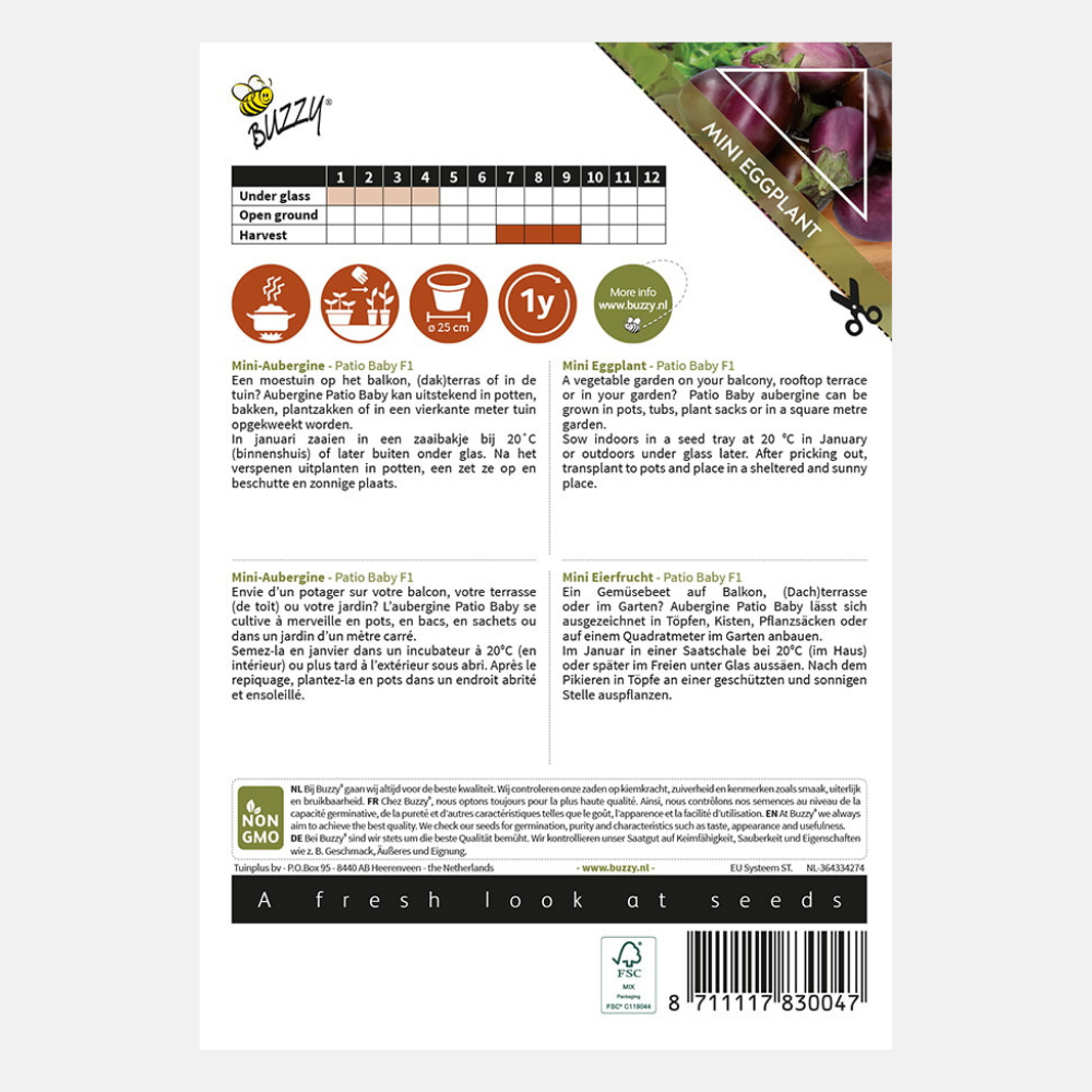 Mini Aubergine 'Patio Baby' F1 - convient aux pots