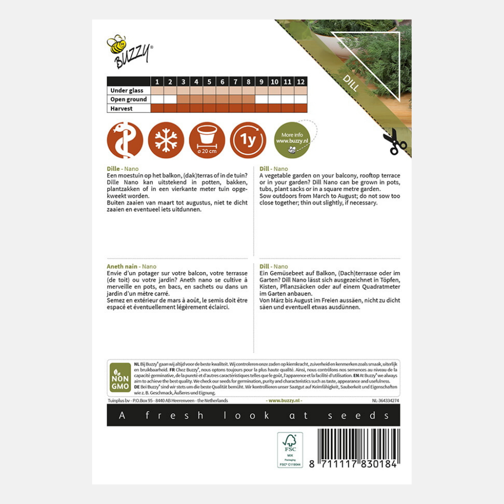 Aneth 'Nona' - convient aux pots