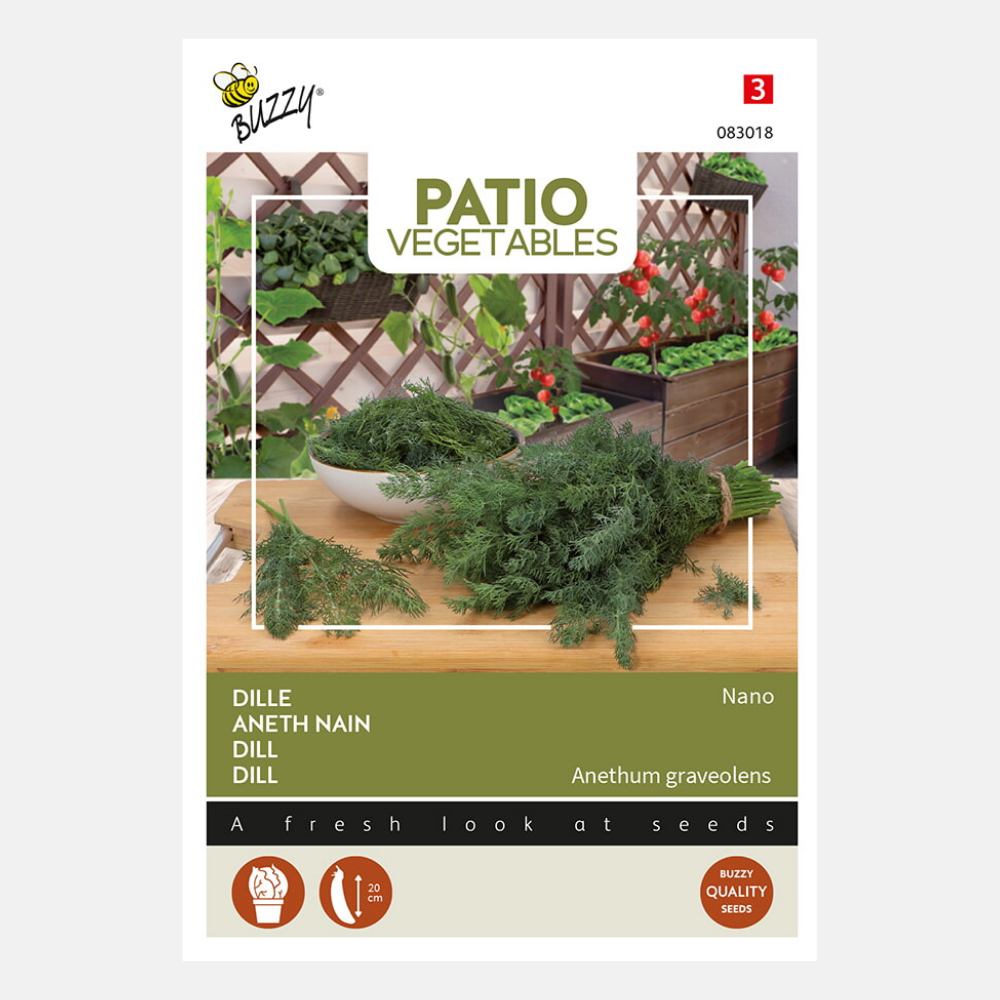 Aneth 'Nona' - convient aux pots