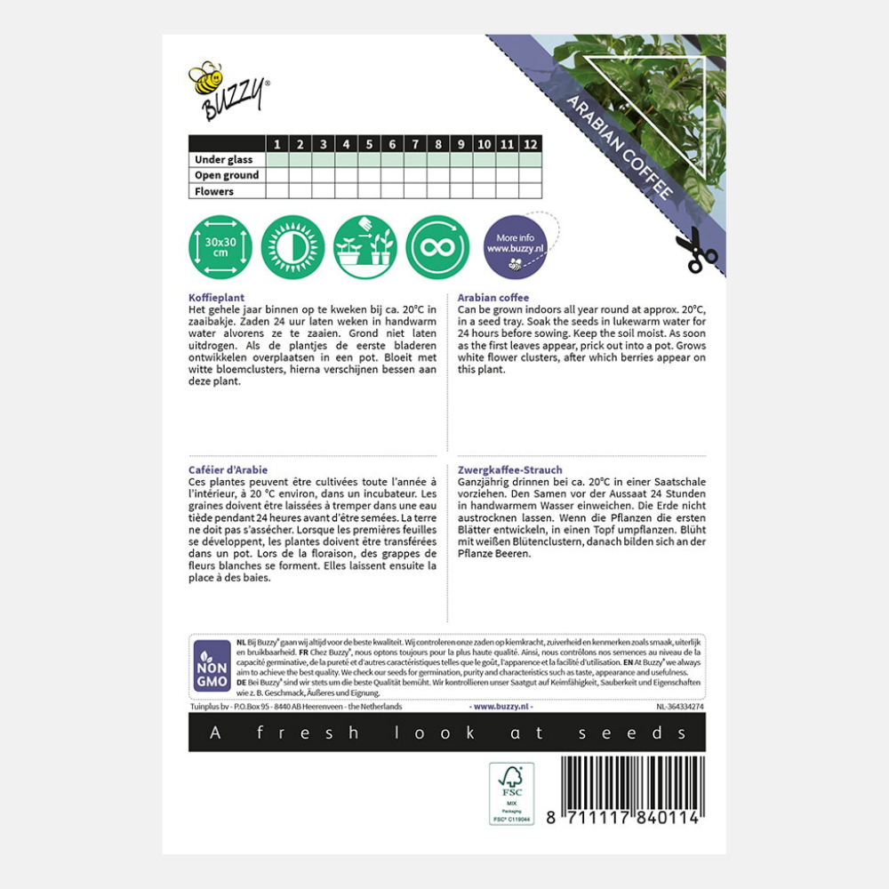 Caféier Arabica/Caféier