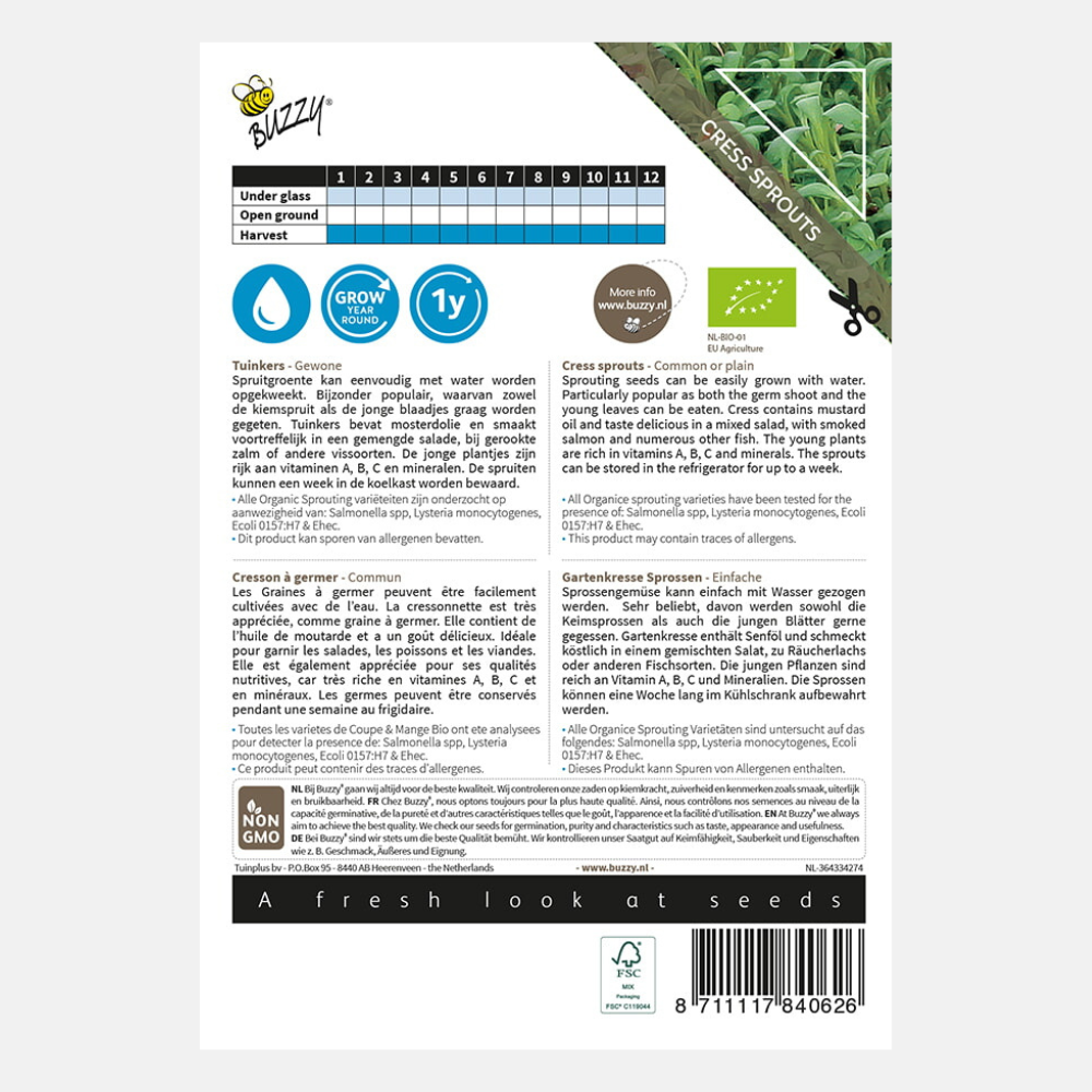 Buzzy Bio Sprouting Choux-rave bleu-violet (BIO) 20 grammes