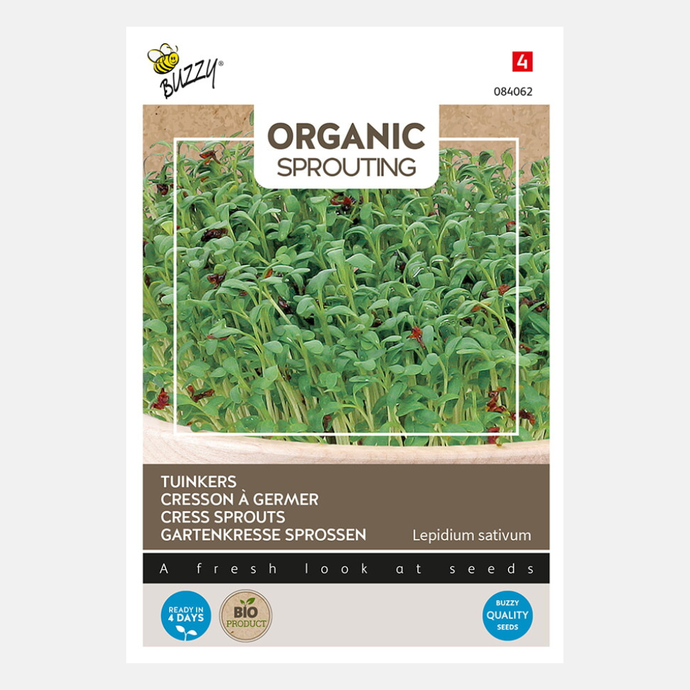 Buzzy Bio Sprouting Choux-rave bleu-violet (BIO) 20 grammes