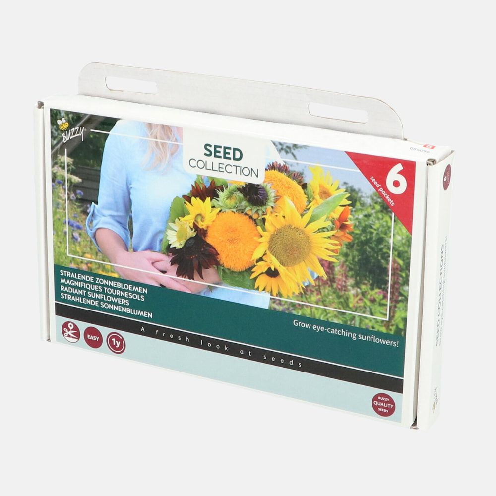 6 Sunflowers Collection