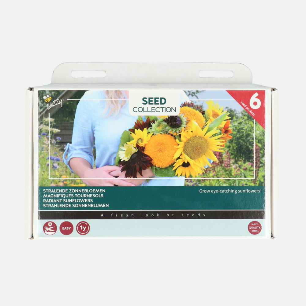 6 Sunflowers Collection