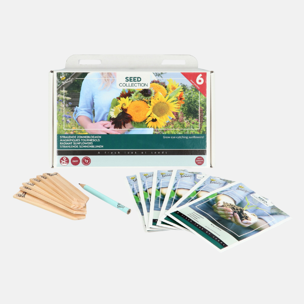 6 Sunflowers Collection