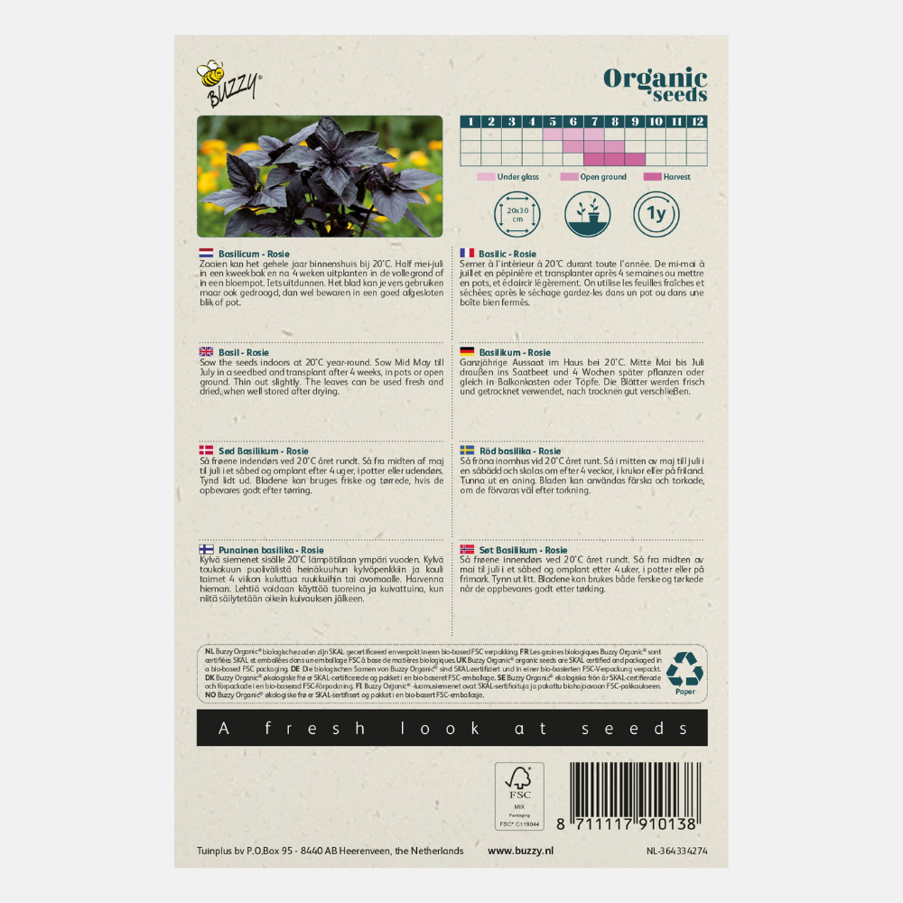 Basilic rouge 'Rosie' BIO