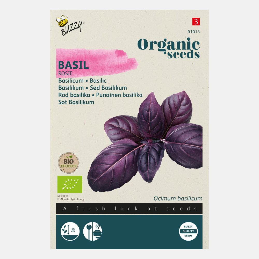 Basilic rouge 'Rosie' BIO