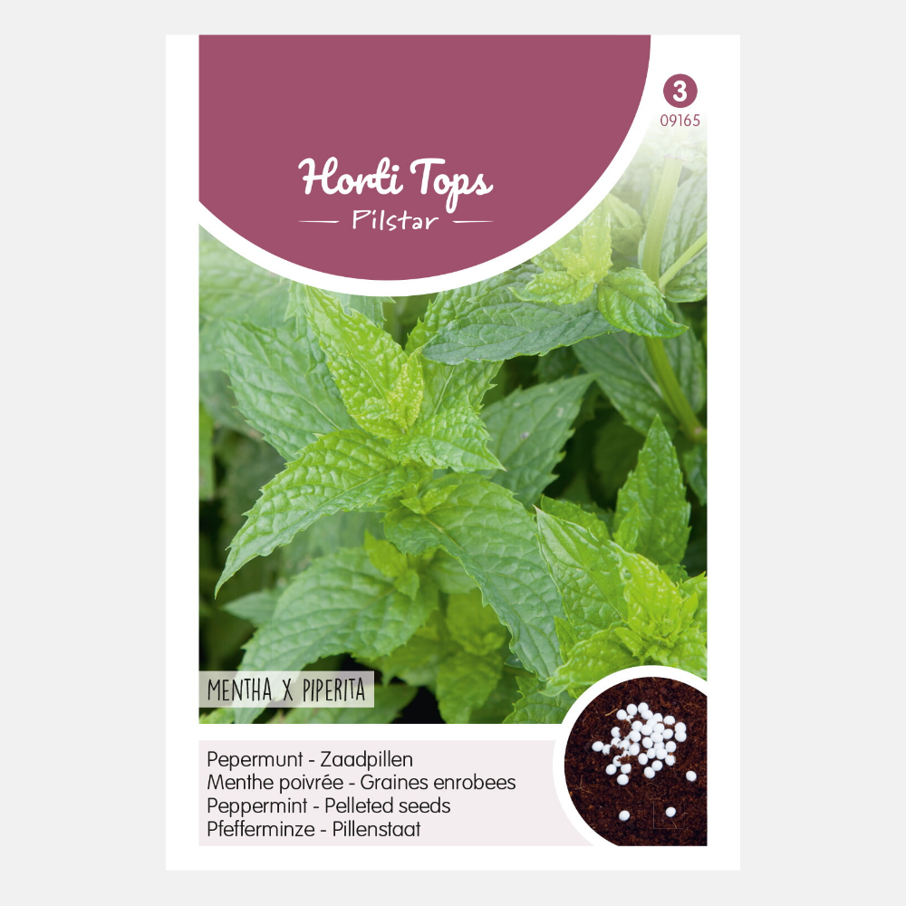 Peppermint - pill seed