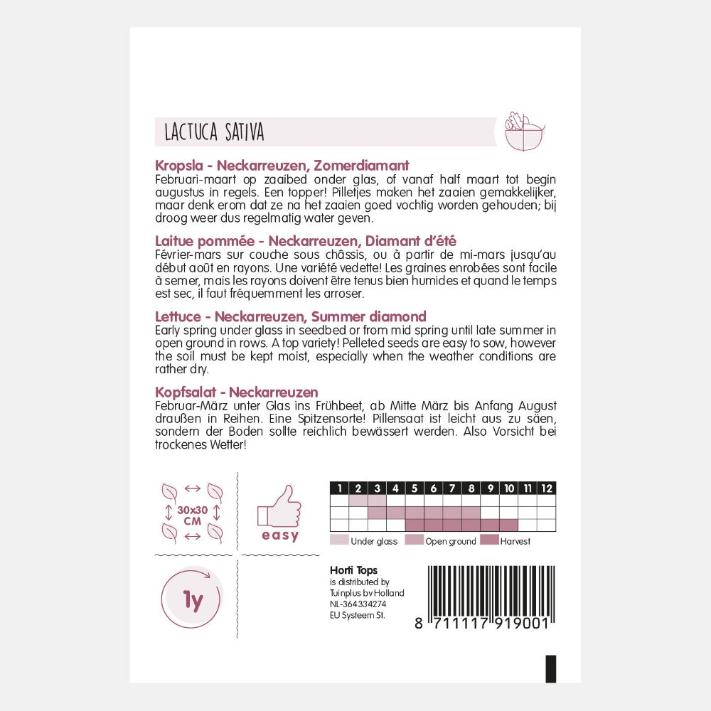 Laitue 'Summer Diamond' - graines en comprimés