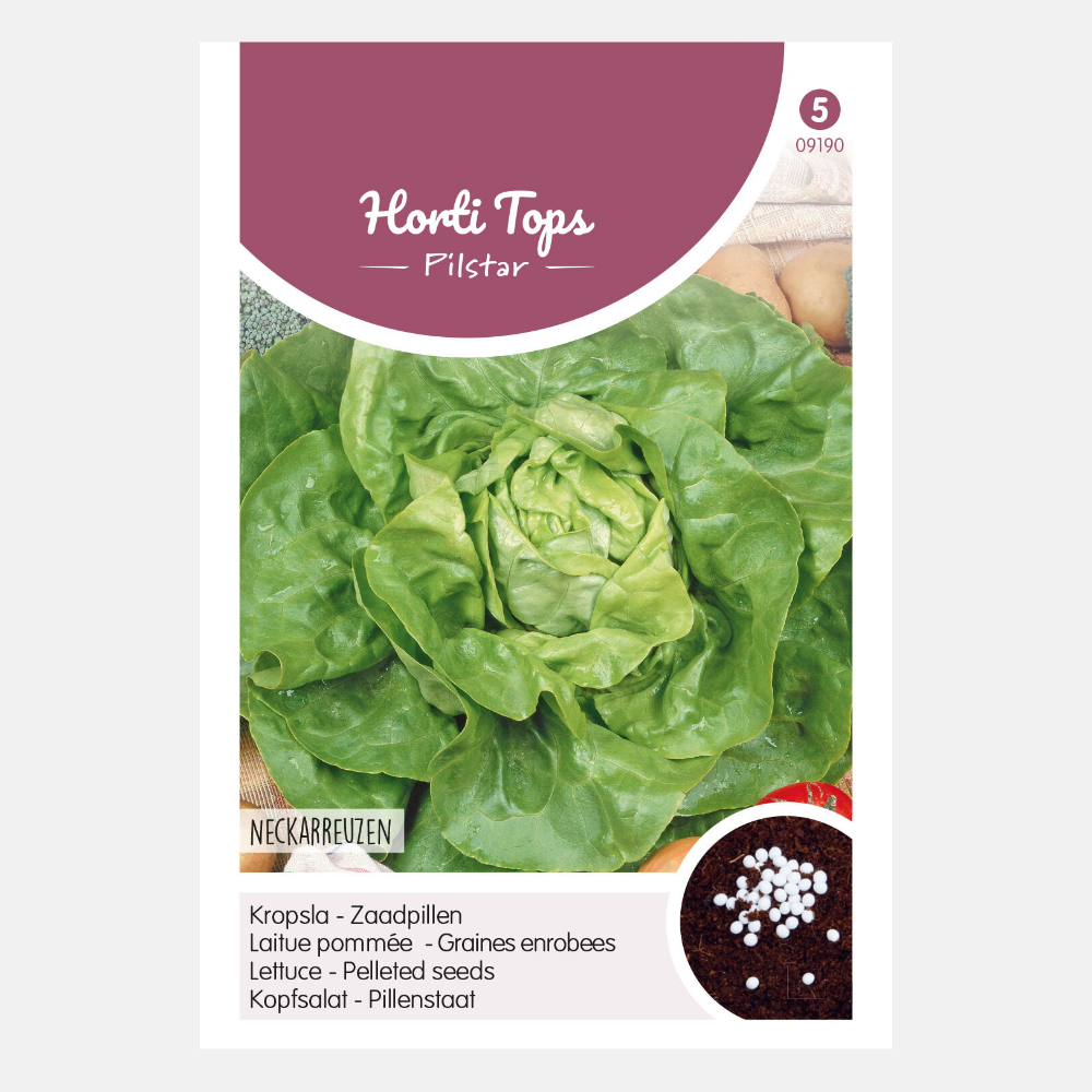 Laitue 'Summer Diamond' - graines en comprimés