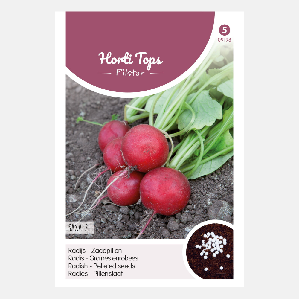 Graines de radis 'Saxa 2' en comprimés