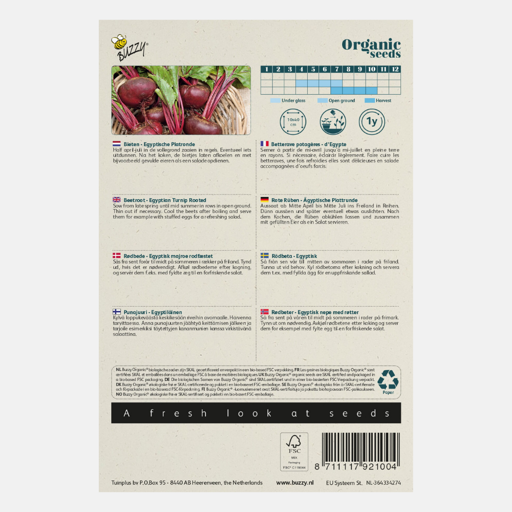 Betterave 'Egyptian flat round' BIO