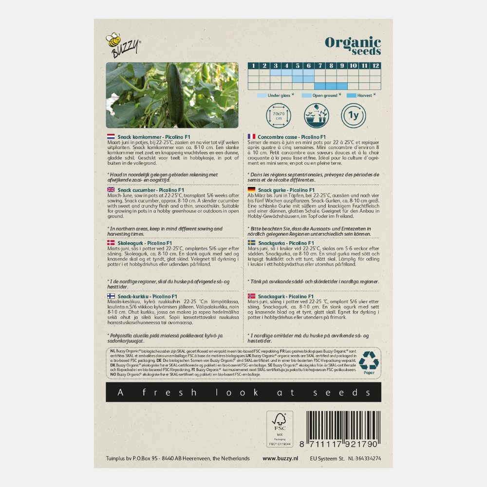 Snack cucumber 'Picolino' BIO