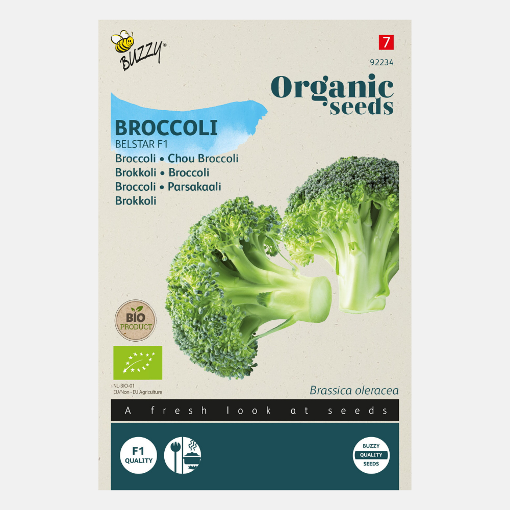 Brocoli 'Belstar' F1 BIO