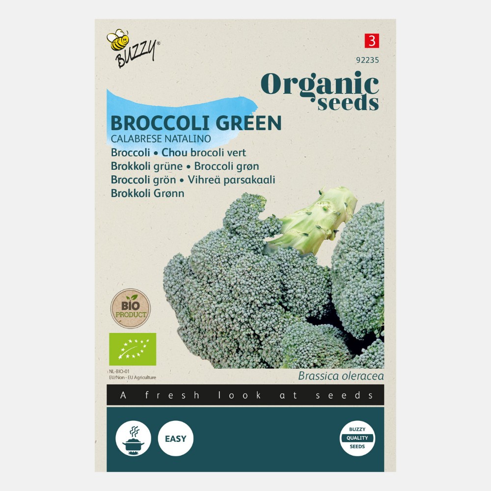 Brocoli 'Vert Calabrese' BIO