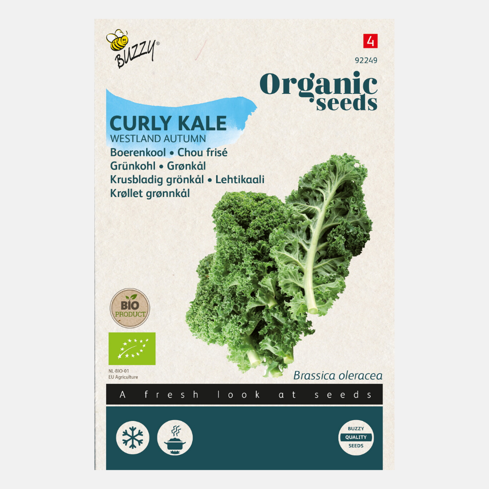 Boerenkool 'Westlandse' BIO