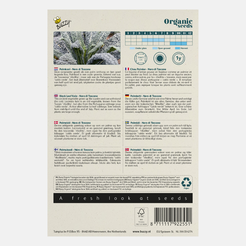 Palm Cabbage 'Nero di Toscana' BIO