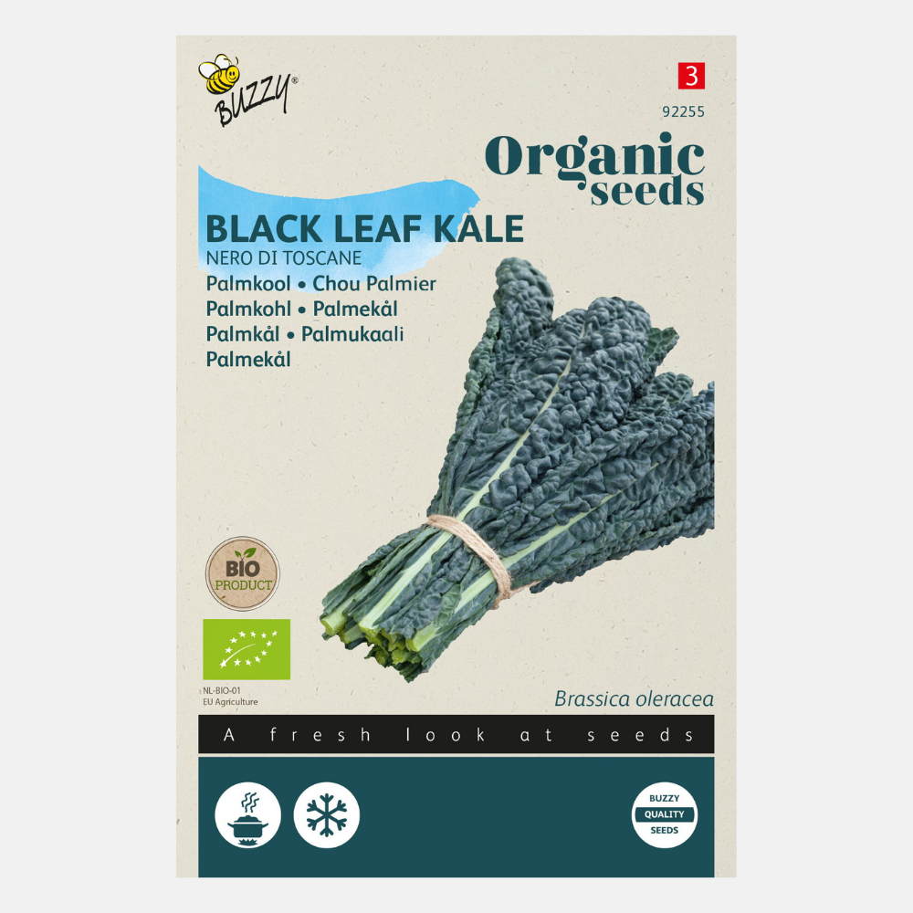 Palm Cabbage 'Nero di Toscana' BIO
