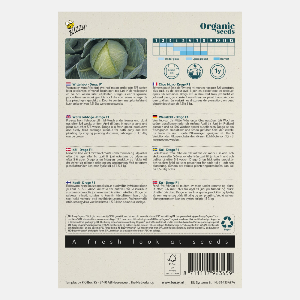Chou blanc 'Drago' F1 BIO