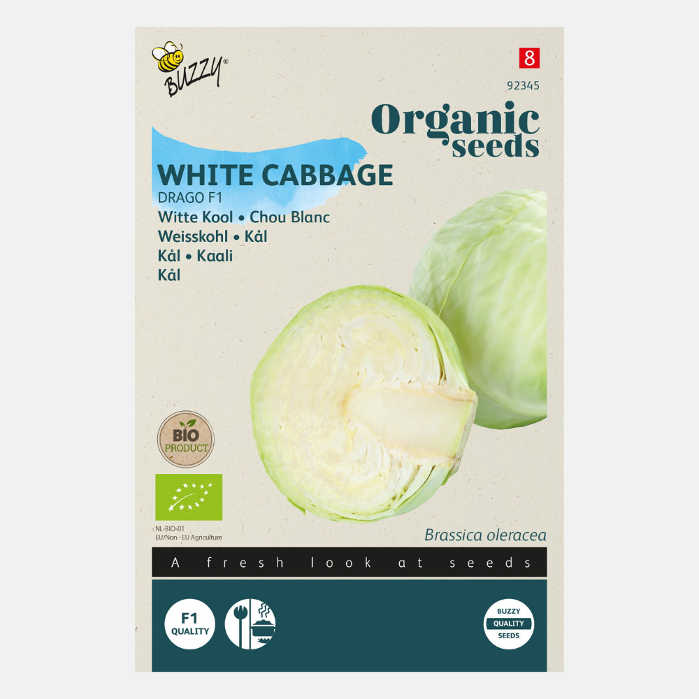 Chou blanc 'Drago' F1 BIO