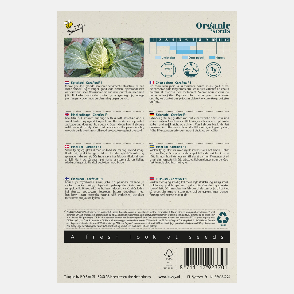 Pointed cabbage 'Caraflex' F1 BIO