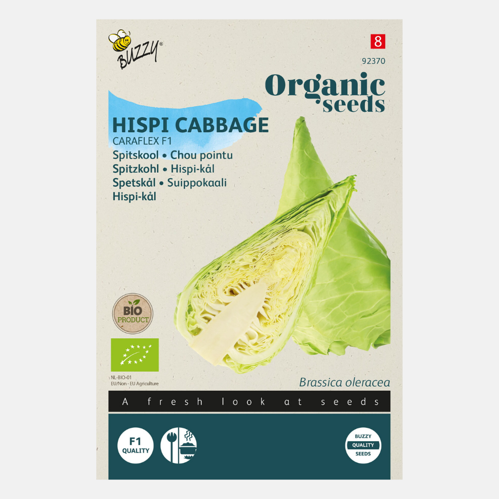 Pointed cabbage 'Caraflex' F1 BIO