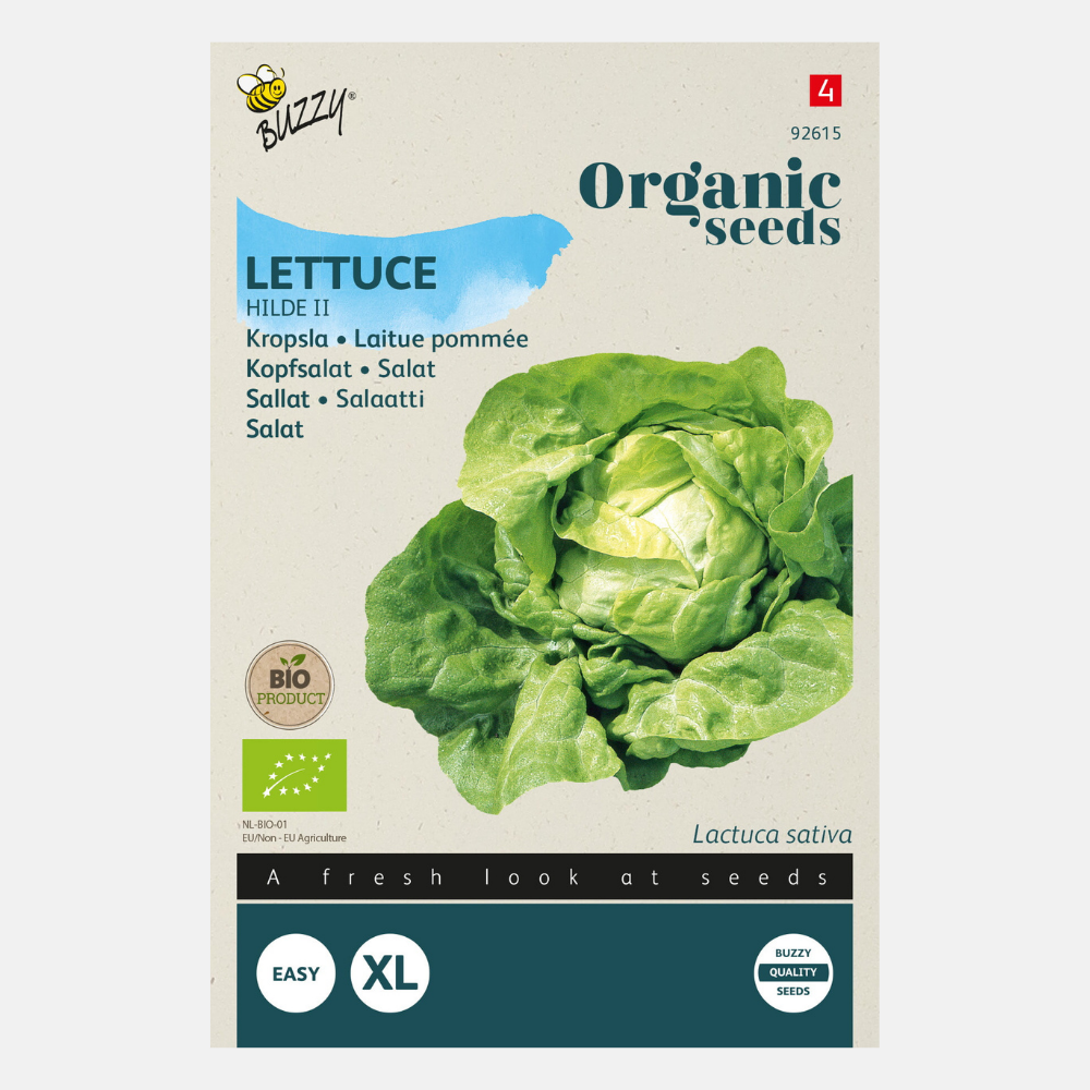 Laitue 'Hilde' BIO