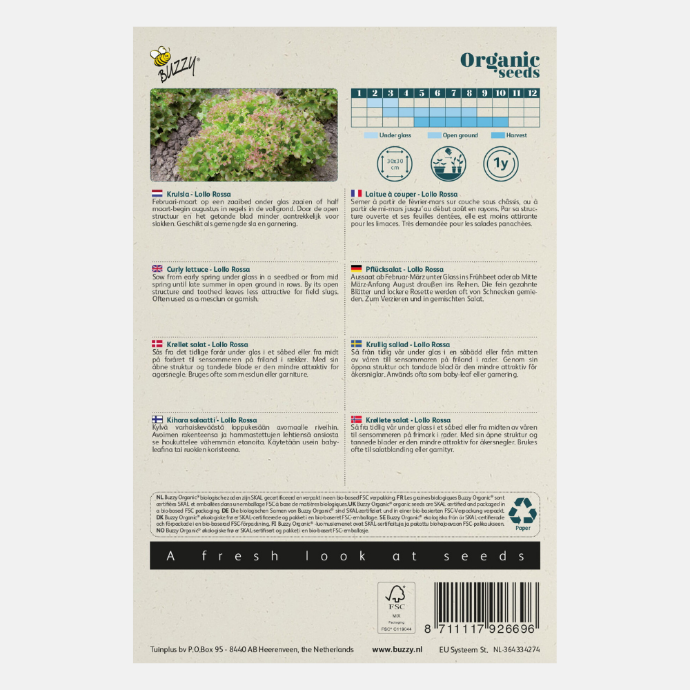 Laitue 'Lollo rossa' BIO