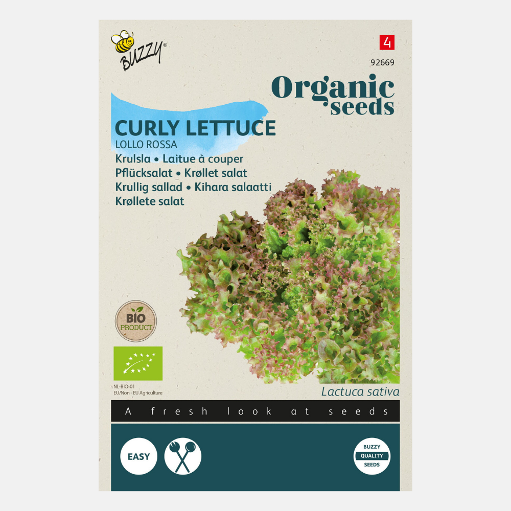 Laitue 'Lollo rossa' BIO