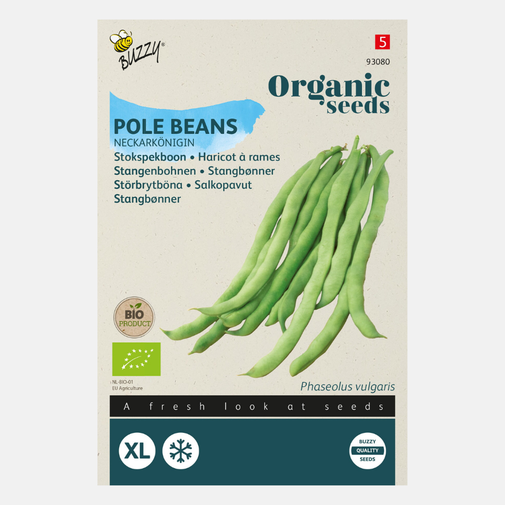 Stick bean 'Neckarkönigin' BIO