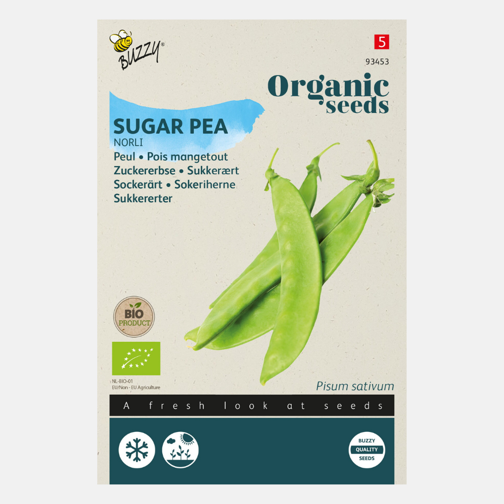 Pois mange-tout 'Norli' BIO